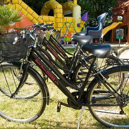 Nuovo Diana Senigallia